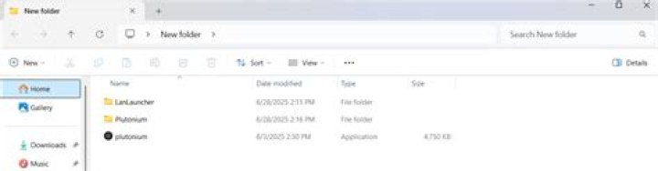 Can you get bo1 on steam?