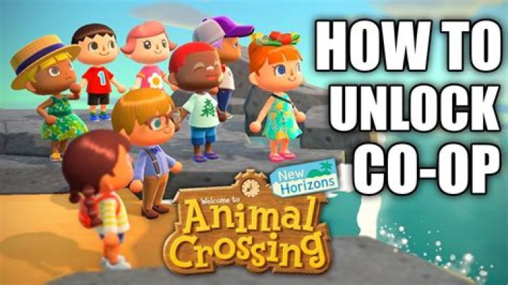 Does Animal Crossing have online multiplayer?
