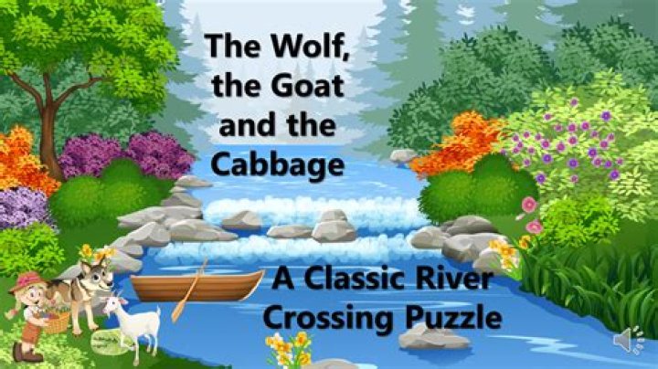 How do you get the wolf goat and cabbage across the river?