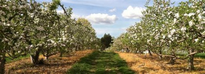 What does TLT represent?