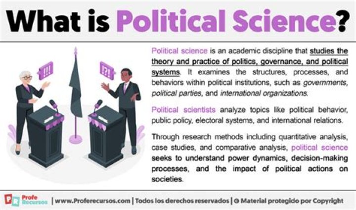 What is a puzzle in political science?