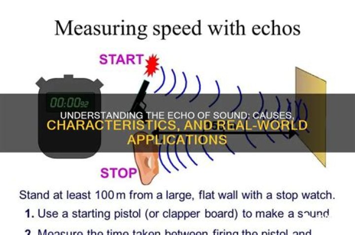 What is echo of sound?