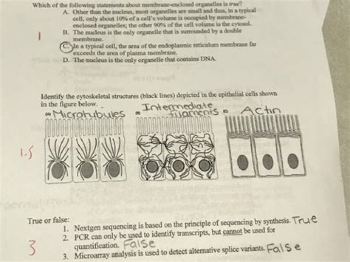 Which of the following is true about fuse?